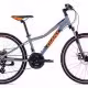 Bicicleta de munte Giant XTC Jr 1 Disc 24 Gray