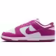 Incaltaminte Sport Nike W DUNK LOW NEXT NATURE