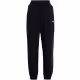 Pantaloni Nike W NSW PHNX FLC HR PANT STD