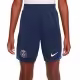 Шорты Nike PSG Y NK DF STRK SHORT KZ