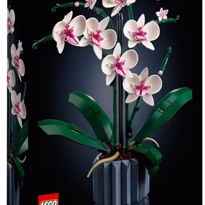 Конструктор Lego 10311