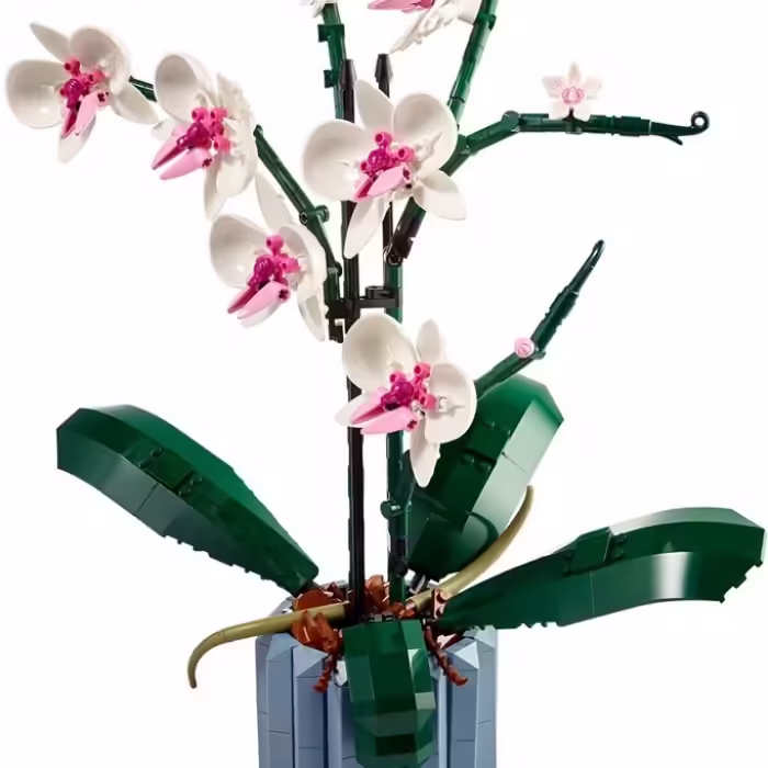 Конструктор Lego 10311 - 2