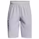 Sorti Under Armour UA Prototype 2.0 Wdmk Shorts