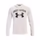 Hanorac Under Armour UA RIVAL TERRY BIG LOGO HD