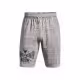 Sorti Under Armour UA Pjt Rock Terry Shorts