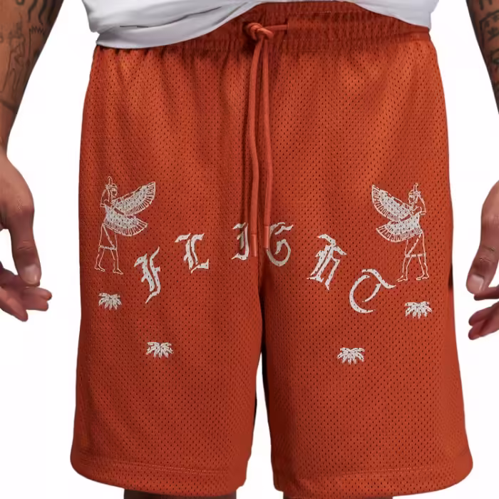 Шорты Nike M J FLT ARTST SRS MESH SHORT