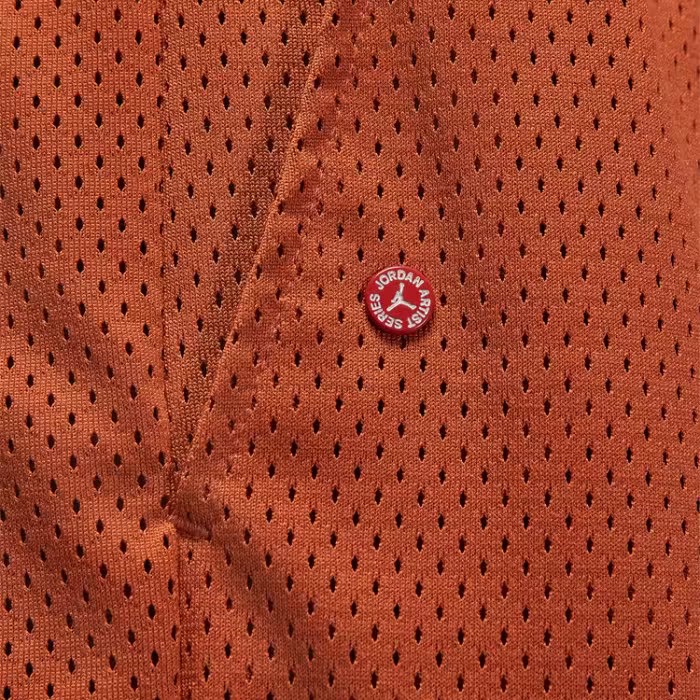 Шорты Nike M J FLT ARTST SRS MESH SHORT - 2