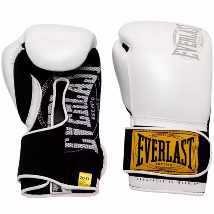Manusi pentru box Everlast 1910 CLASSIC 16OZ - 2