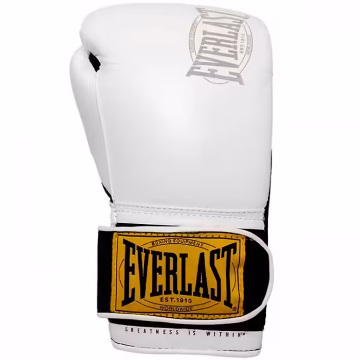 Manusi pentru box Everlast 1910 CLASSIC 16OZ - 3