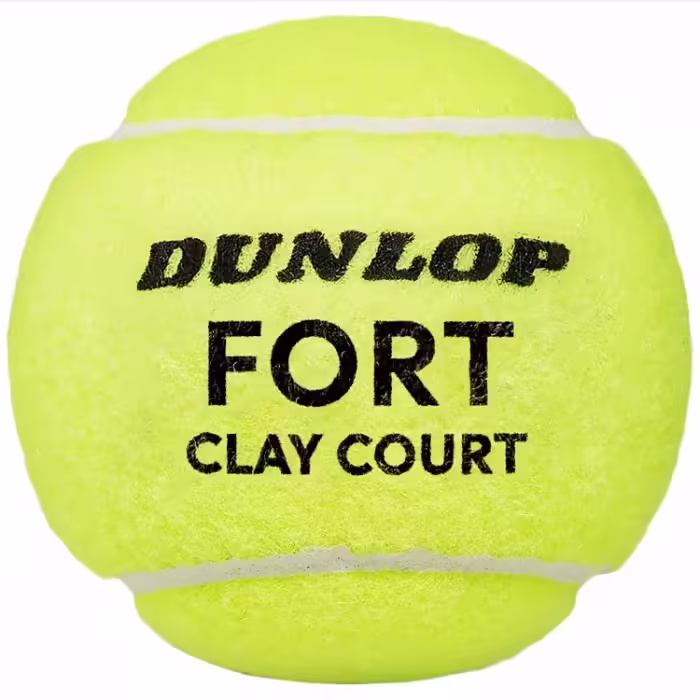 Набор мячей для тенниса 4 шт Dunlop FORT Clay Court 4B PET - 3