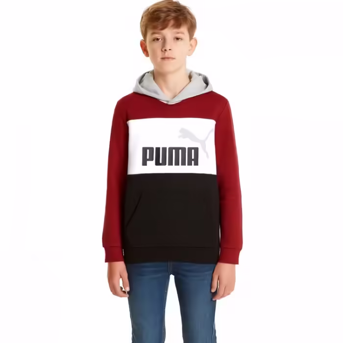 Толстовка Puma ESS BLOCK Hoodie FL B