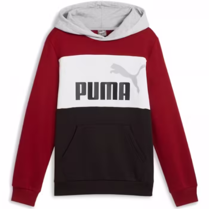 Толстовка Puma ESS BLOCK Hoodie FL B - 2