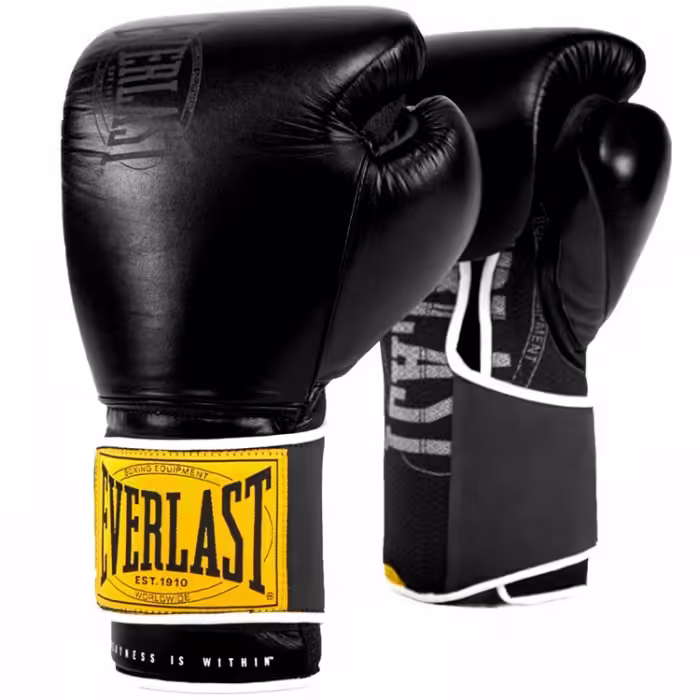 Перчатки для бокса Everlast 1910 CLASSIC 16OZ