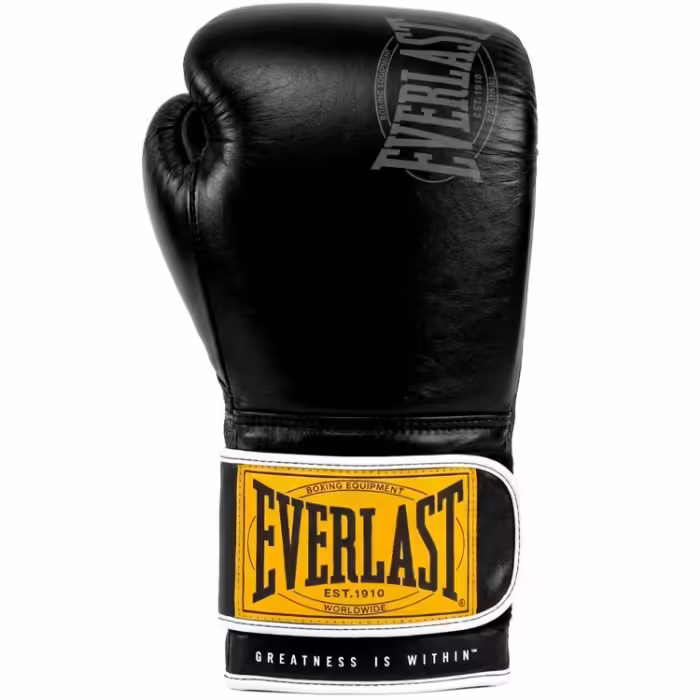 Перчатки для бокса Everlast 1910 CLASSIC 16OZ - 2