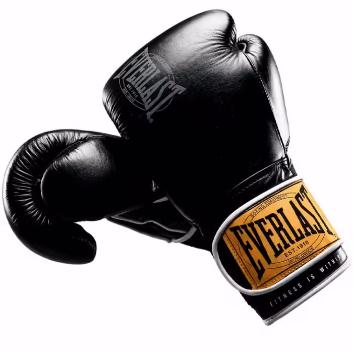 Перчатки для бокса Everlast 1910 CLASSIC 16OZ - 3