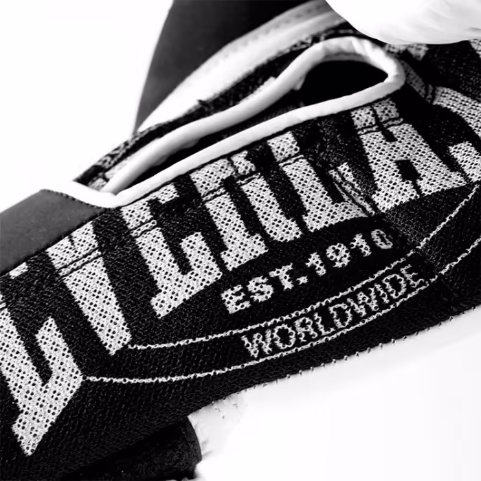 Перчатки для бокса Everlast 1910 CLASSIC 16OZ - 5