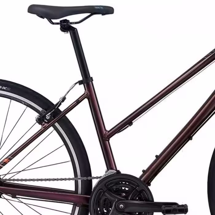 Bicicleta de oras Liv Alight 3 - 2