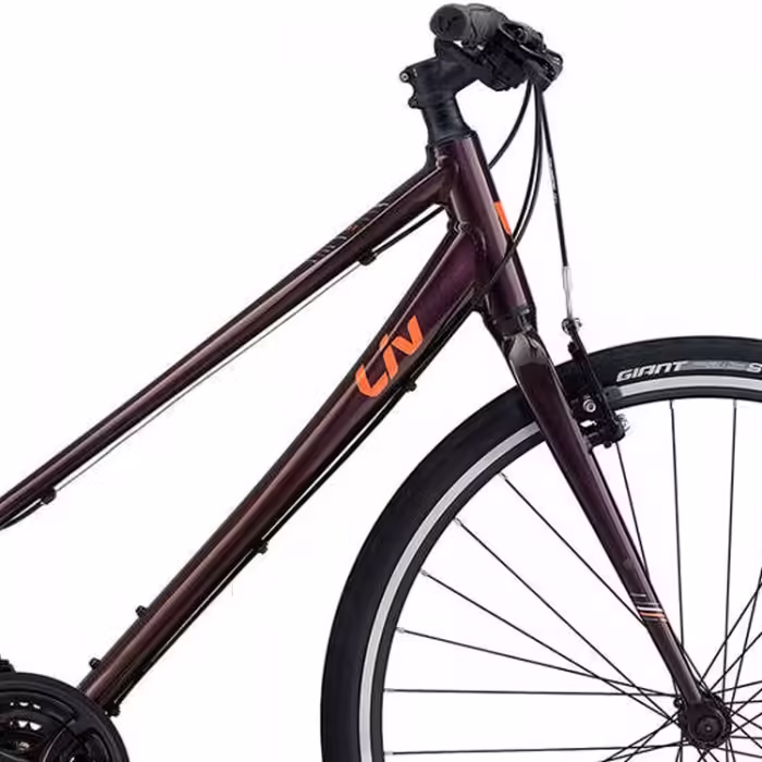 Bicicleta de oras Liv Alight 3 - 3