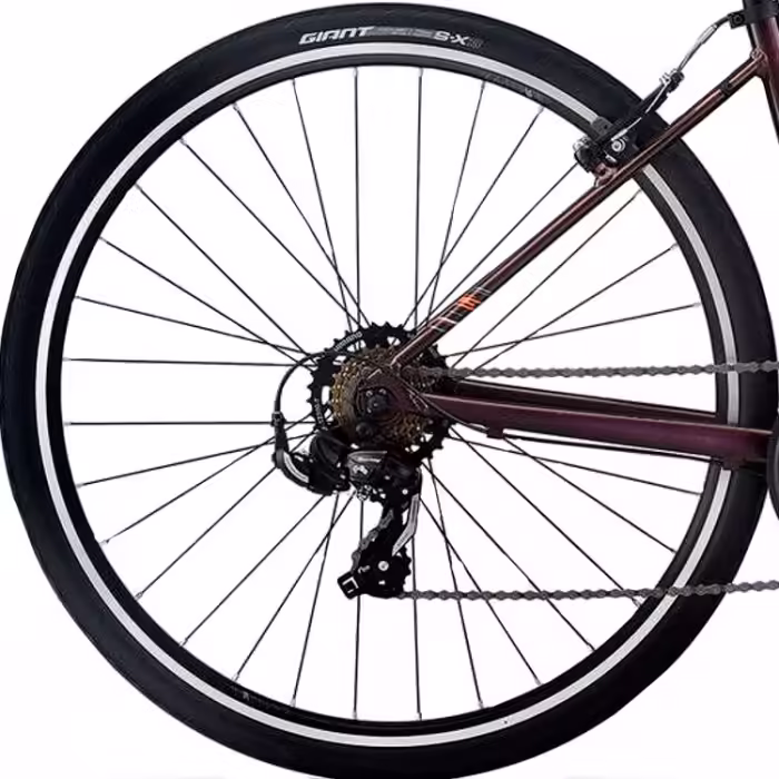 Bicicleta de oras Liv Alight 3 - 5