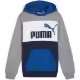 Толстовка Puma ESS BLOCK Hoodie TR B