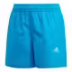 Sorti pentru inot Adidas YB BOS SHORTS