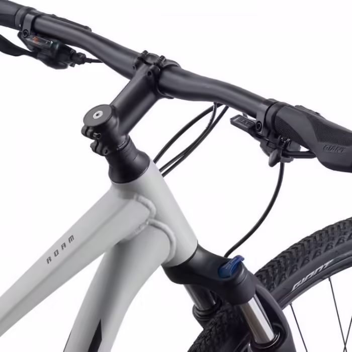 Bicicleta Aventure Giant Roam 3 Disc  - 2