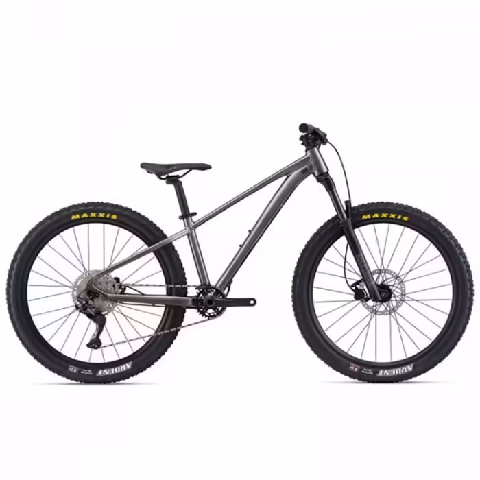 Bicicleta p/u copii Giant STP 26