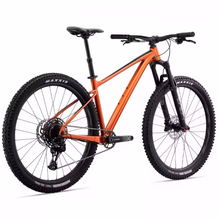 Bicicleta profesional Giant Fathom 29 1 - 2