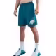 Шорты Nike M NK DF FORM 9IN UL SHORT GFX