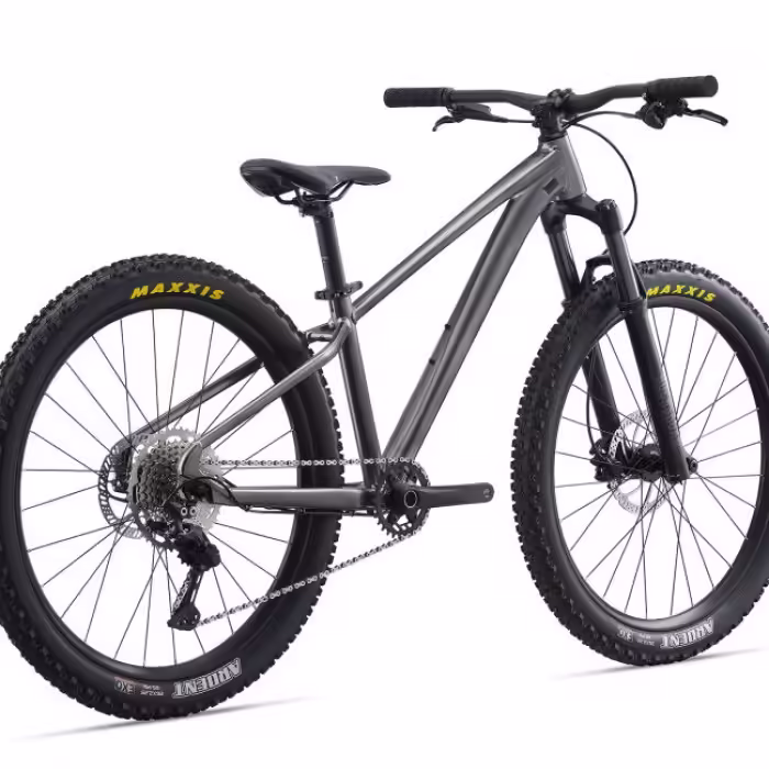 Bicicleta p/u copii Giant STP 26 - 3