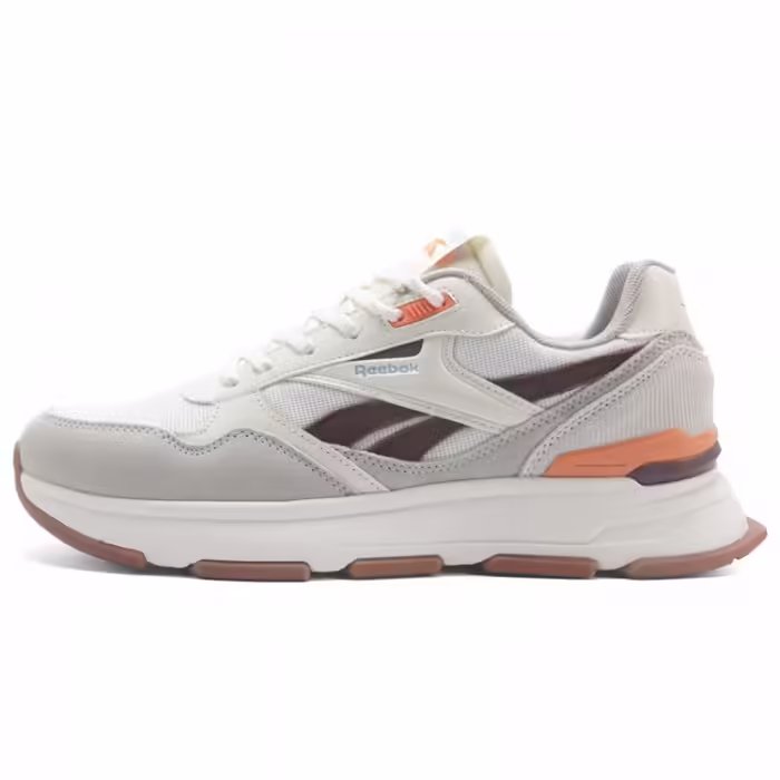 Incaltaminte Sport Reebok BROOK MILT