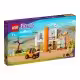 Constructor Lego 41717