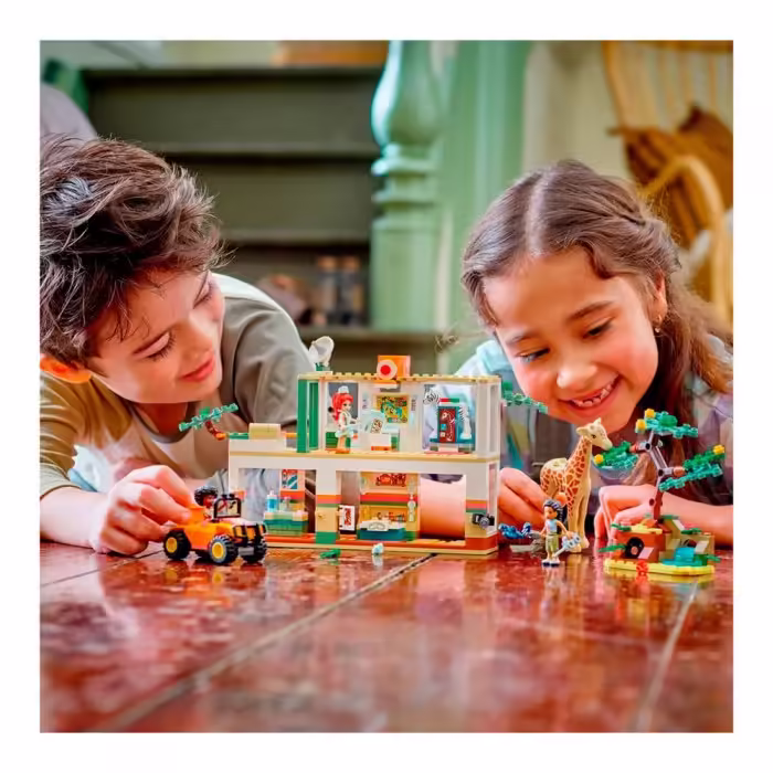 Constructor Lego 41717 - 8