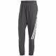 Брюки Adidas M FI WV PT