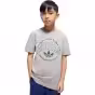 Argintiu
