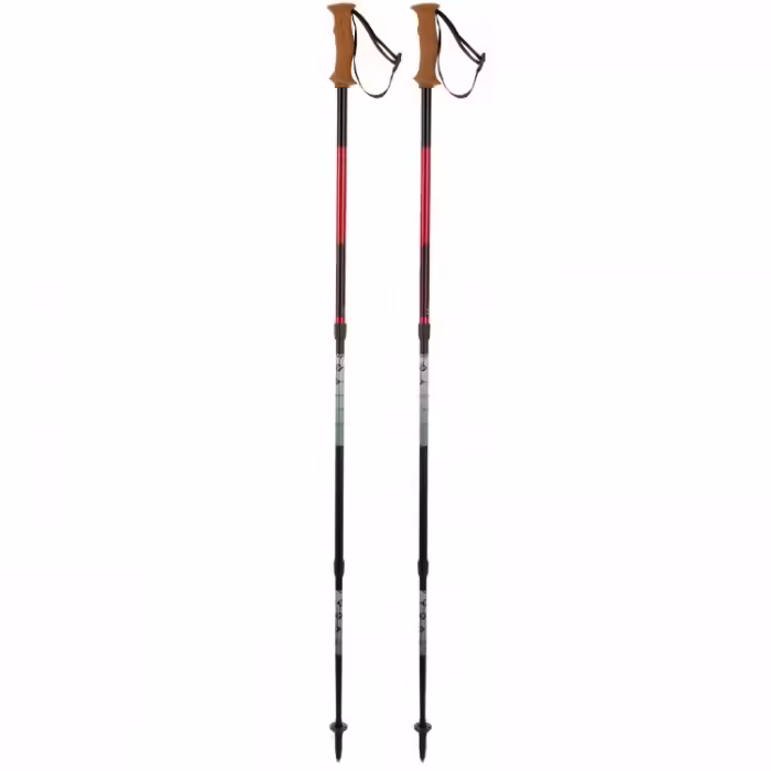 Телескопические палки Masters Trekking Poles