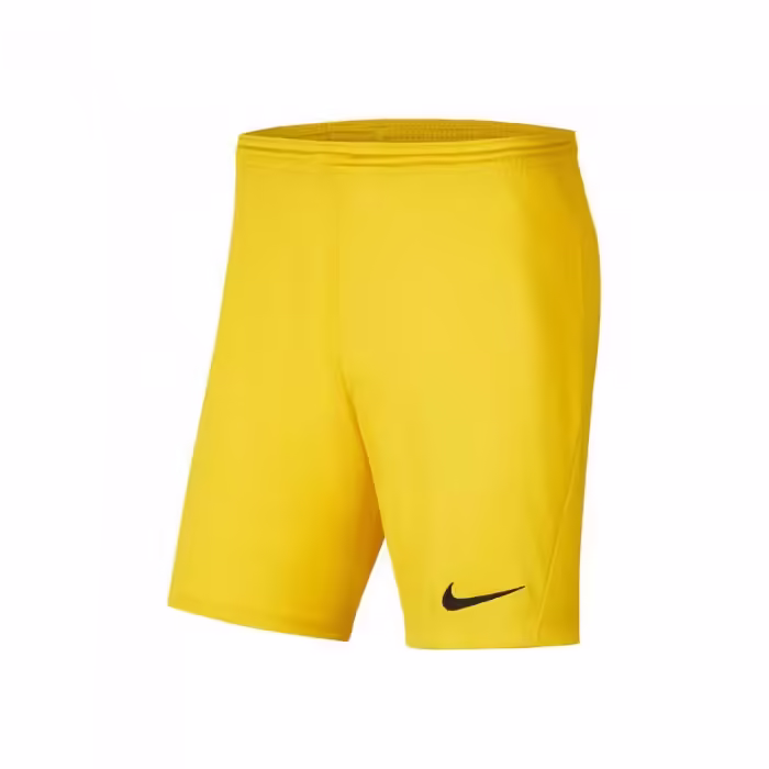 Шорты Nike Y NK DRY PARK III SHORT NB K