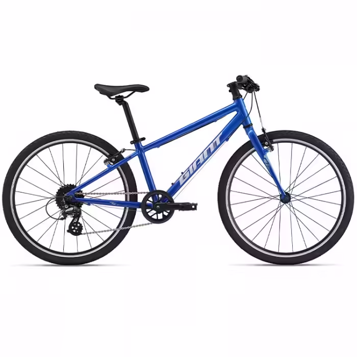 Велосипед детский Giant ARX 24 Albastru