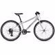 Bicicleta pentru copii GIANT ARX 24 Bej