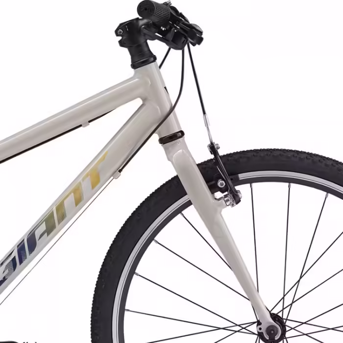 Bicicleta pentru copii GIANT ARX 24 Bej - 2