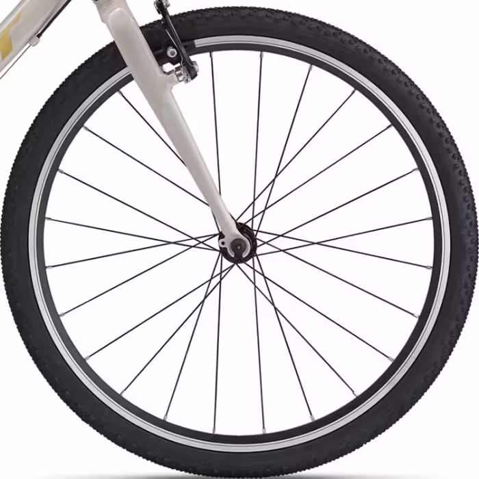Bicicleta pentru copii GIANT ARX 24 Bej - 3