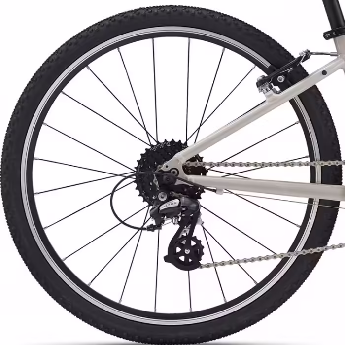 Bicicleta pentru copii GIANT ARX 24 Bej - 5