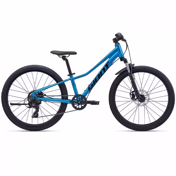 Bicicleta pentru copii GIANT Talon 24 Disc