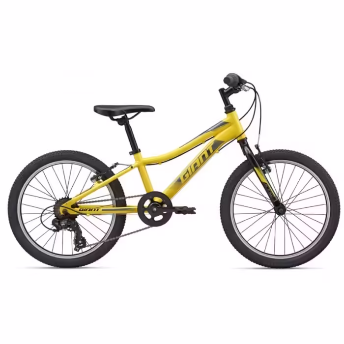 Bicicleta p/u copii Giant XTC