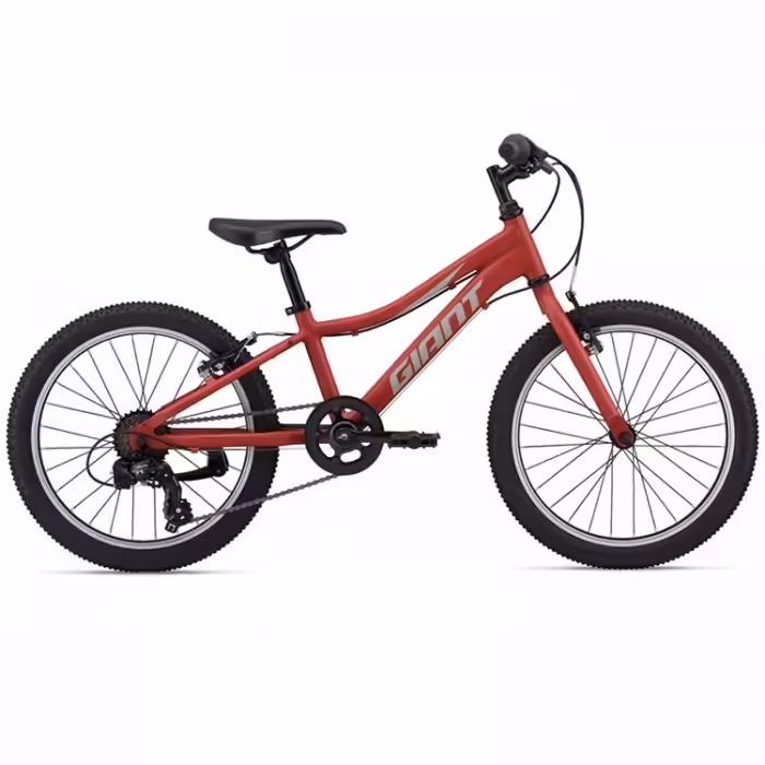 Bicicleta p/u copii Giant XtC Jr 20 Lite
