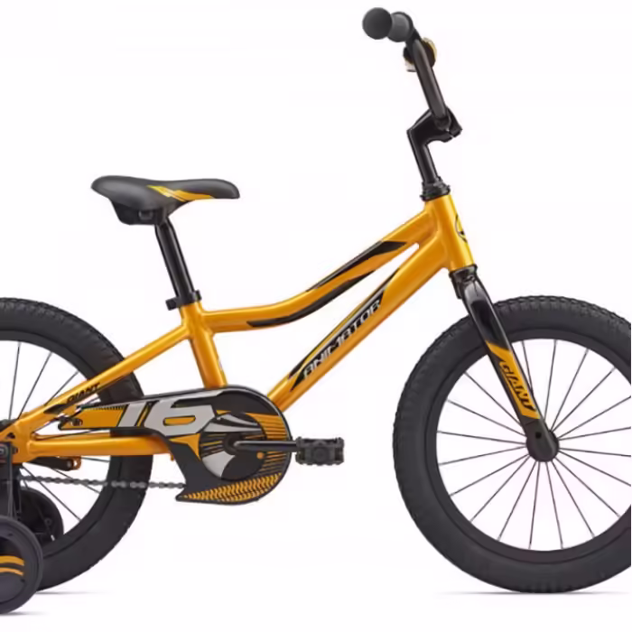 Bicicleta de munte Giant Animator C/B 16