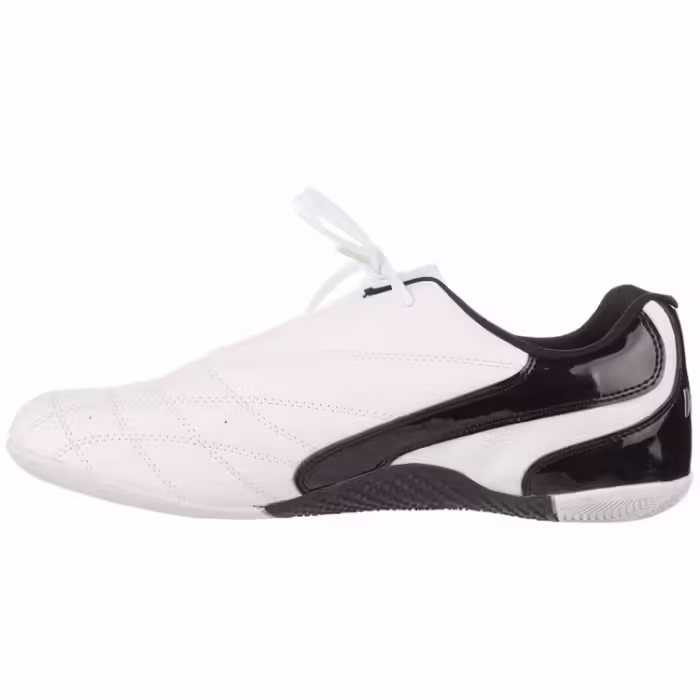 Incaltaminte p/taekwondo DAEDO KICK