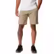 Шорты Columbia Silver Ridge Utility Cargo Short