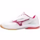 Incaltaminte Sport Mizuno WAVE DRIVE 9