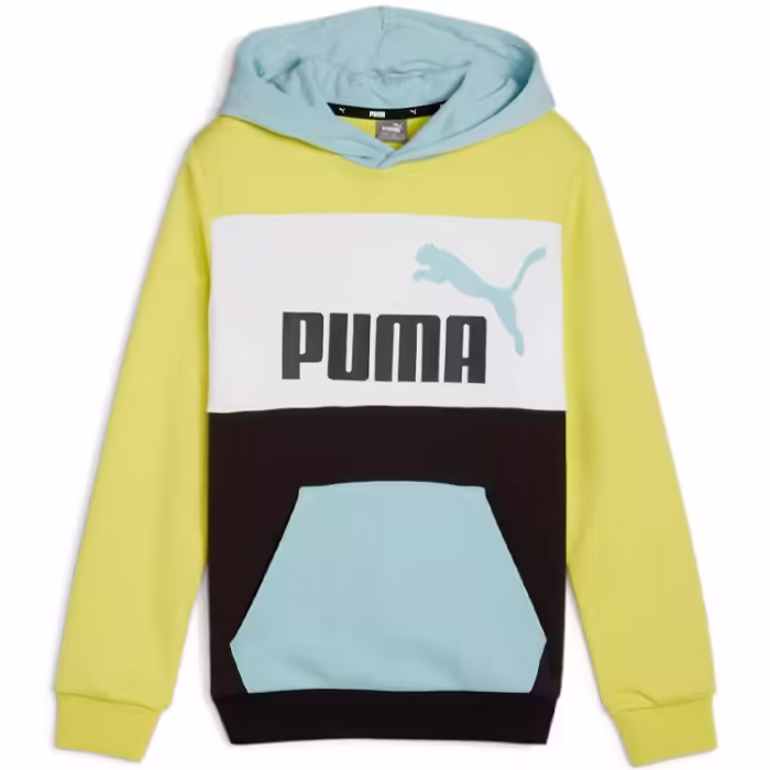 Толстовка Puma ESS BLOCK Hoodie TR B